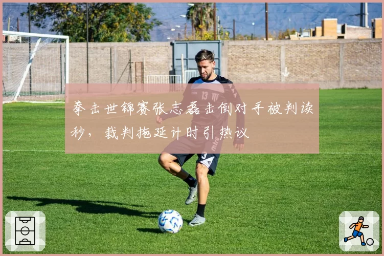 拳击世锦赛张志磊击倒对手被判读秒，裁判拖延计时引热议