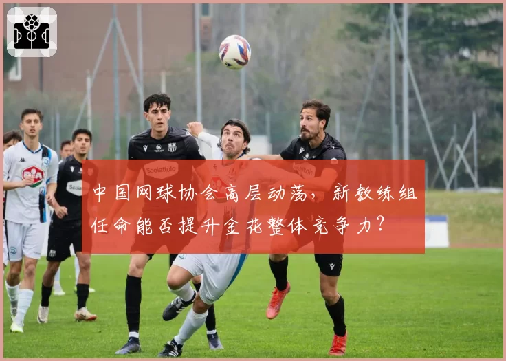 中国网球协会高层动荡，新教练组任命能否提升金花整体竞争力？